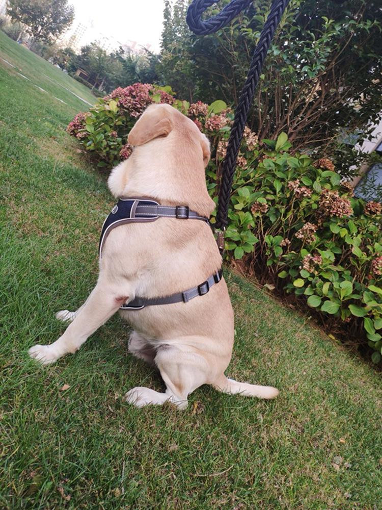 Dog Vest Image 3