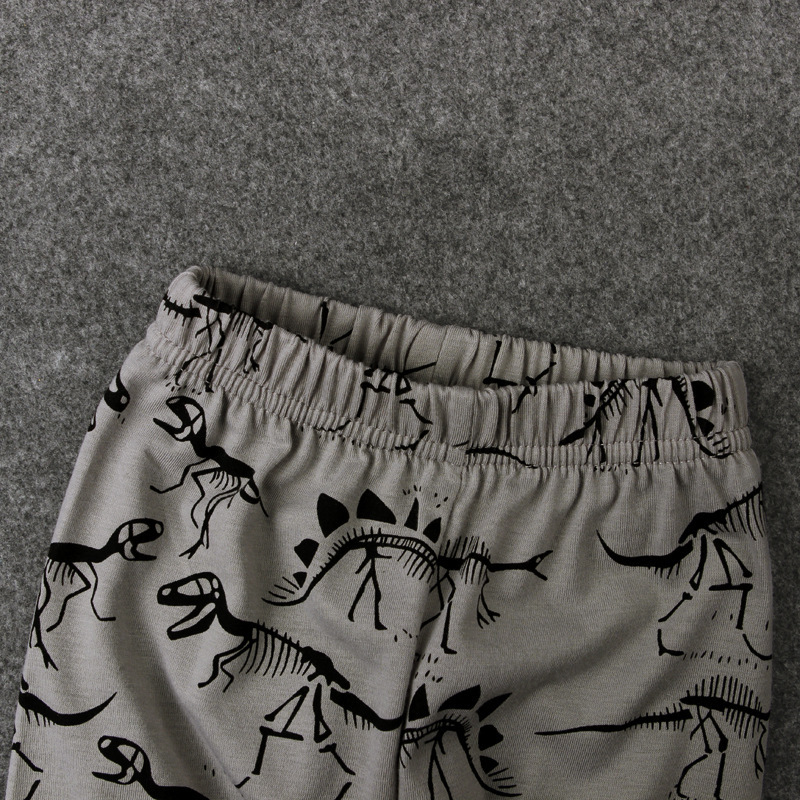 Dinosaur Casual Pants - Side View