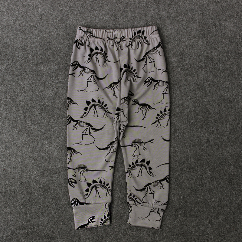 Dinosaur Casual Pants - Model View