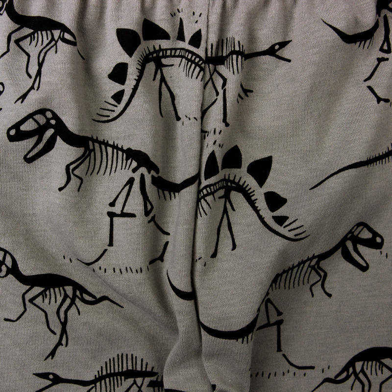 Dinosaur Casual Pants - Lifestyle Image