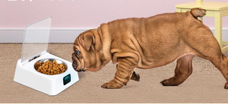 Feeder with Pet