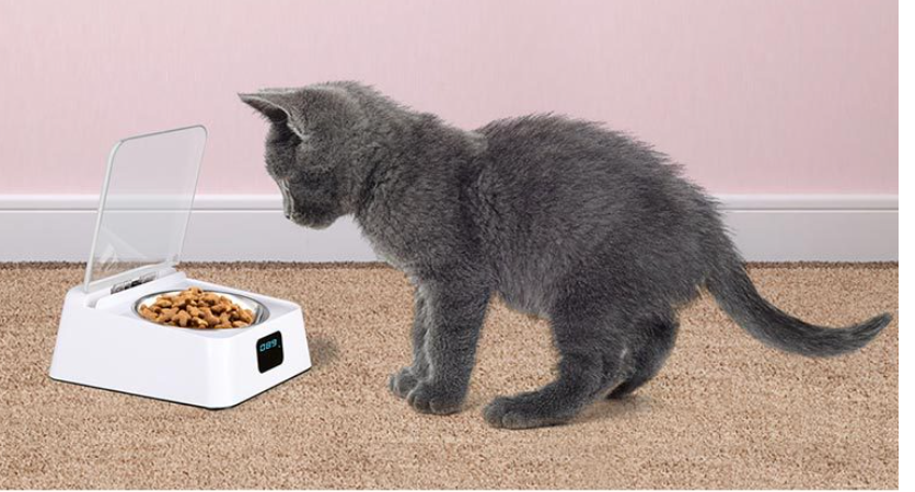 Automatic Feeder in Use