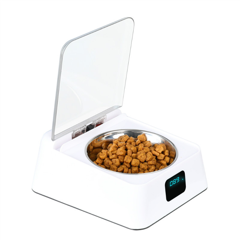 Feeder Setup