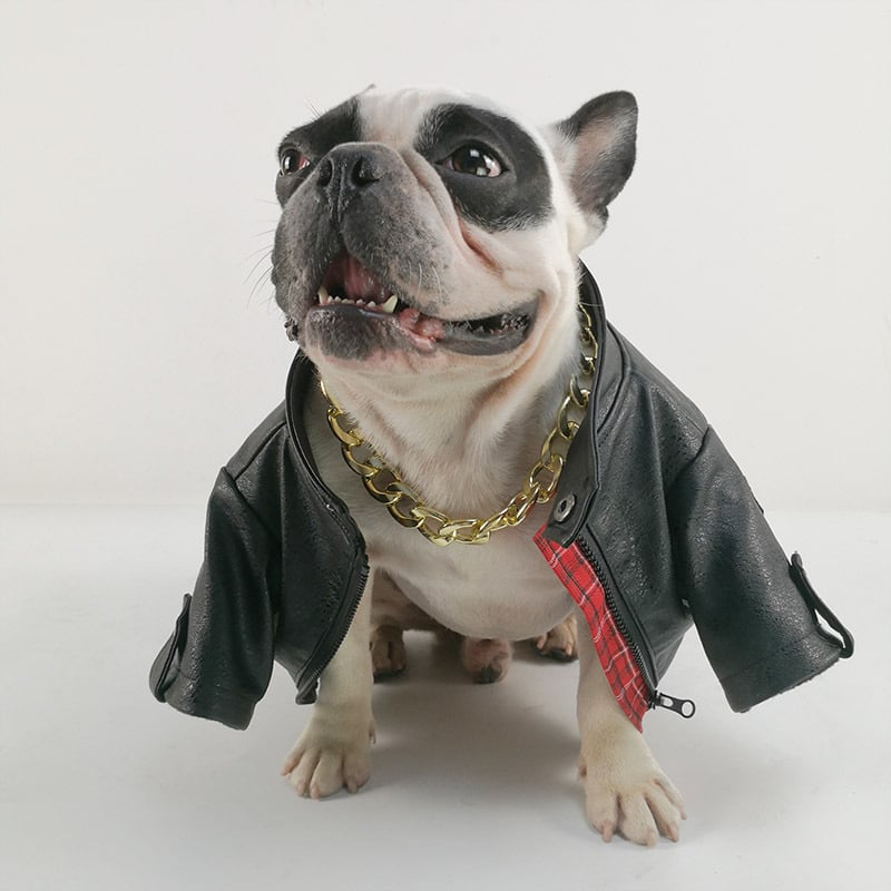 Pet Clothing Image 3