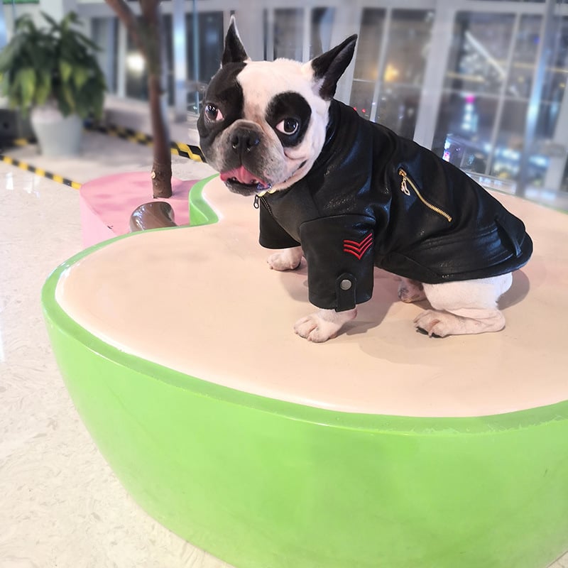 Pet Clothing Image 5