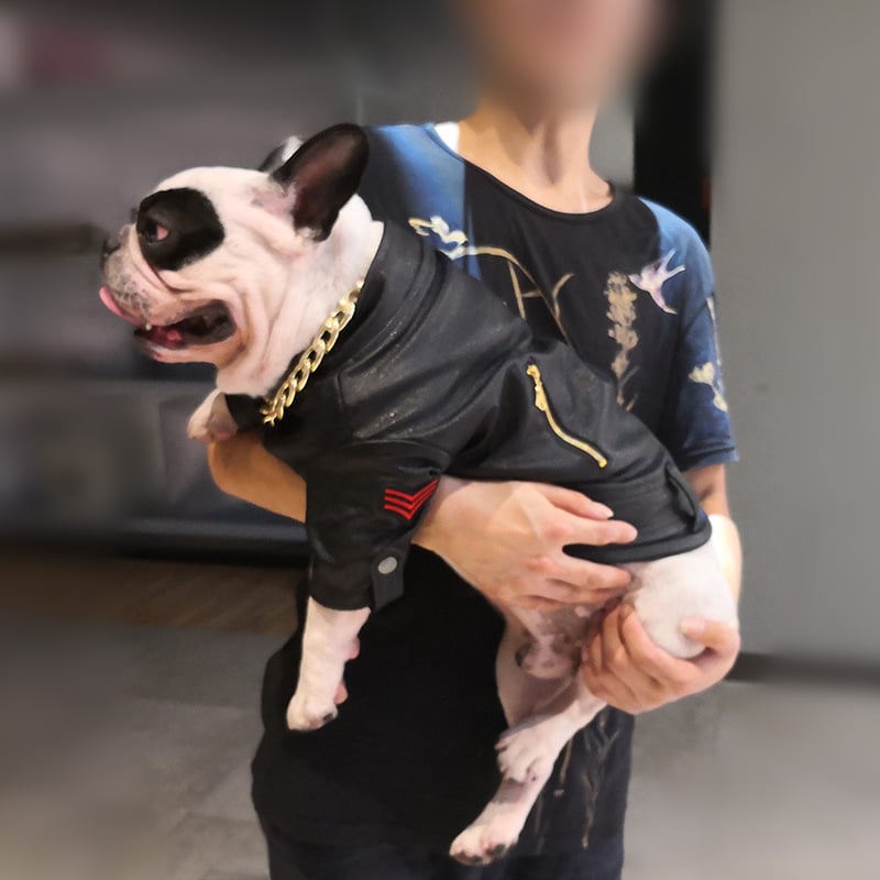 Pet Clothing Image 2