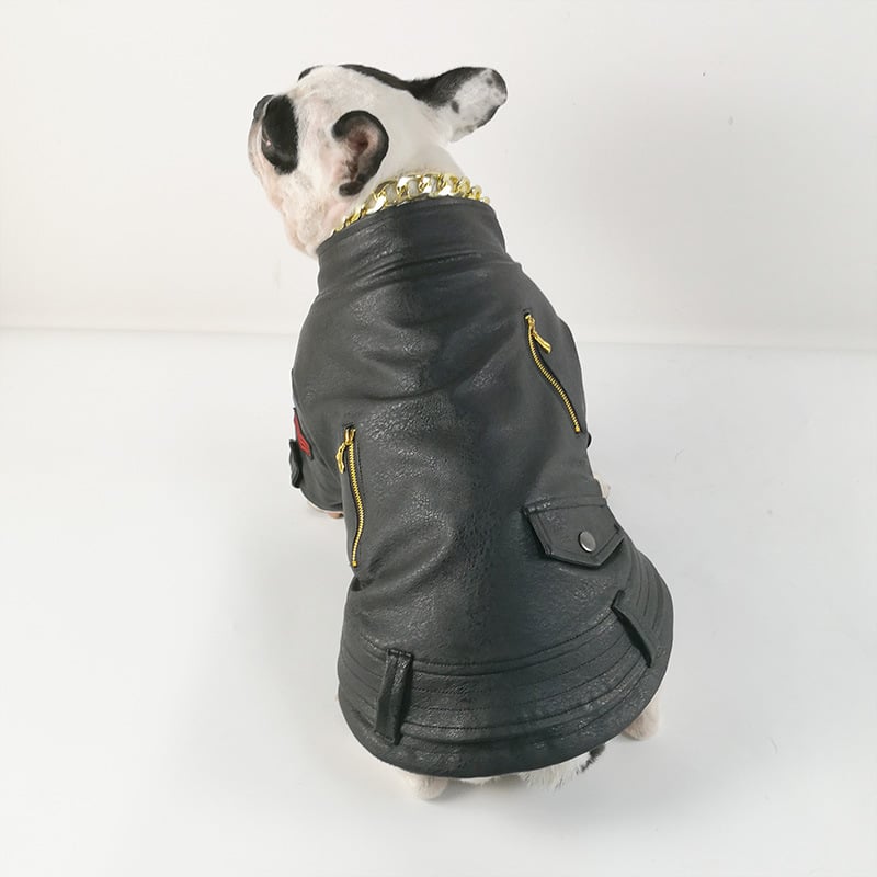 Pet Clothing Image 1