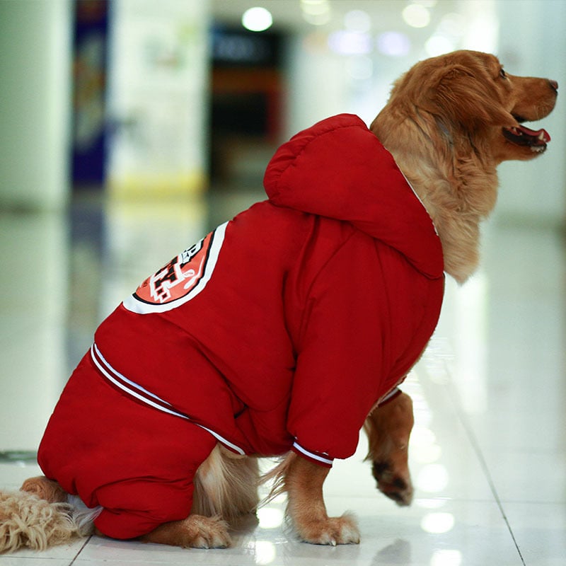 Big Dog Clothes Red