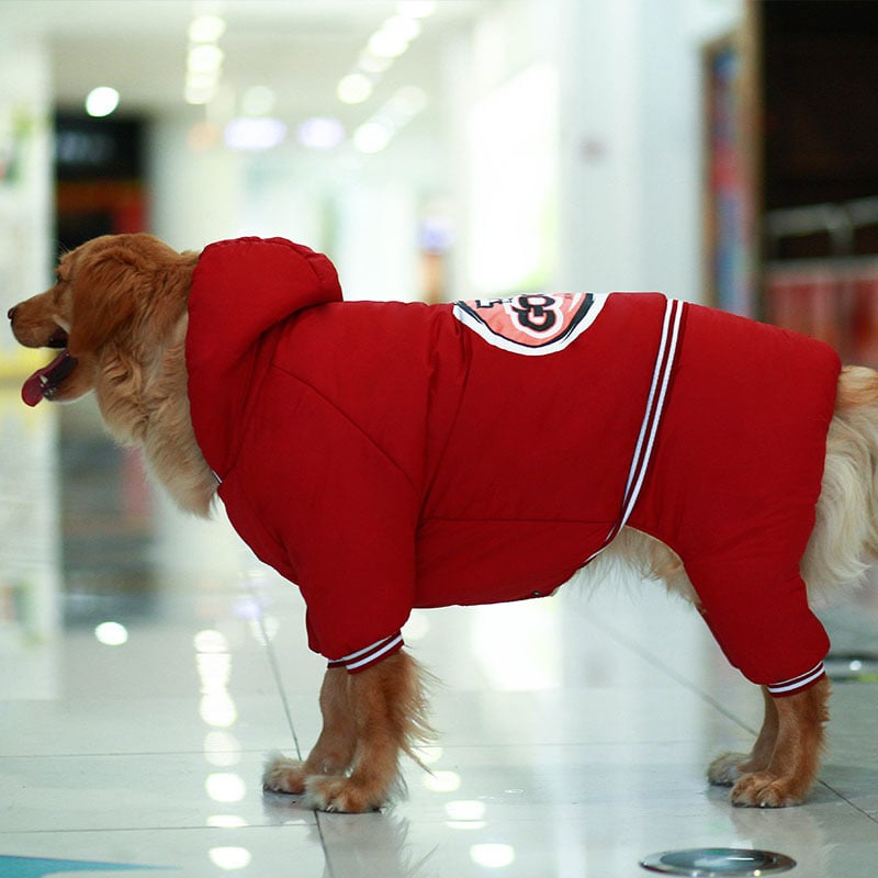 Padded Clothes for Pets