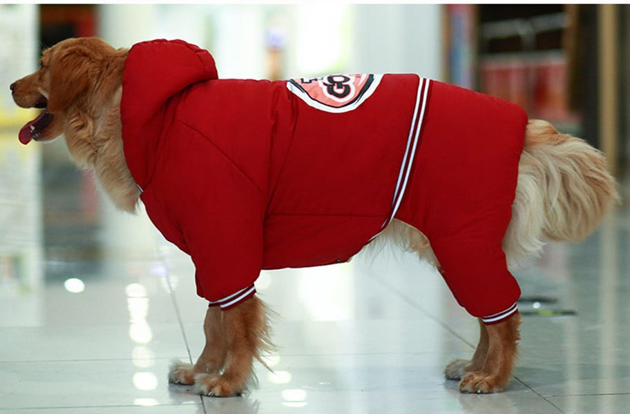 Big Dog Clothes Dark Blue