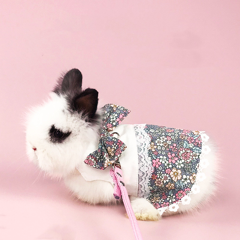 Rabbit Vest 2