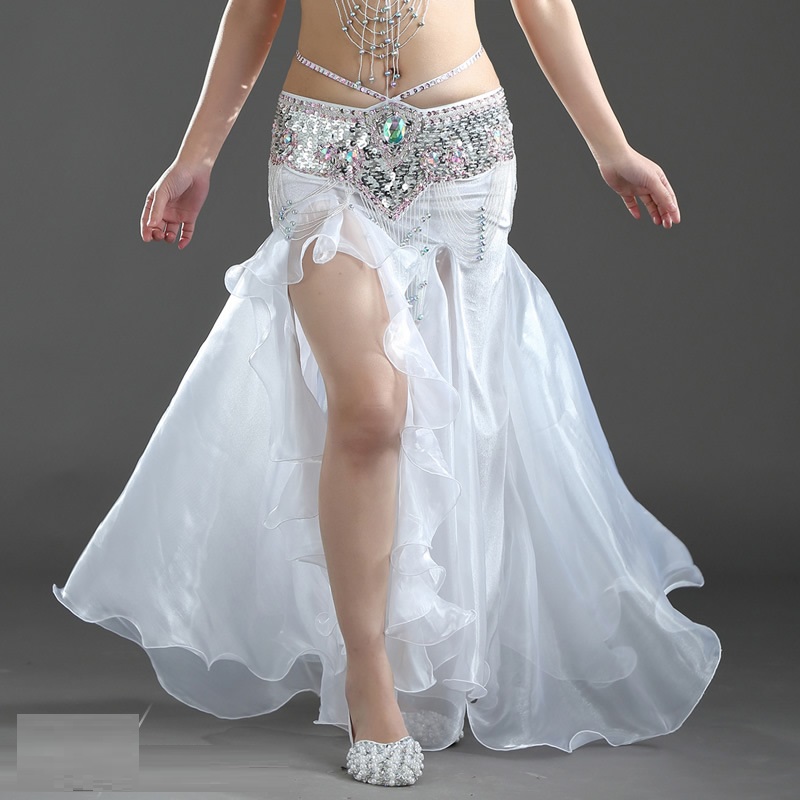 Belly Dance Performance Wear - Image 1