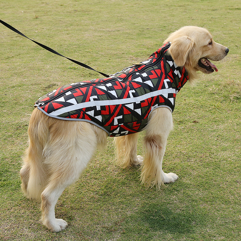Trendy Dog Clothes