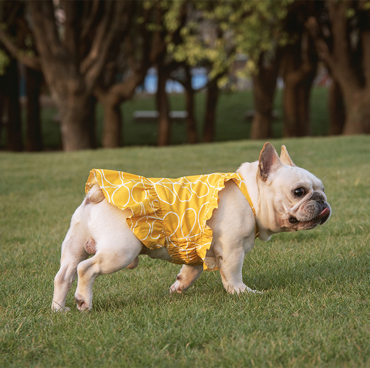 Pet Dress Image 4
