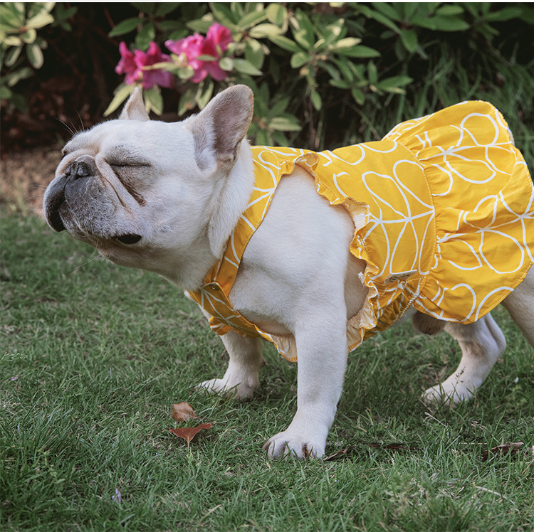 Pet Dress Image 6