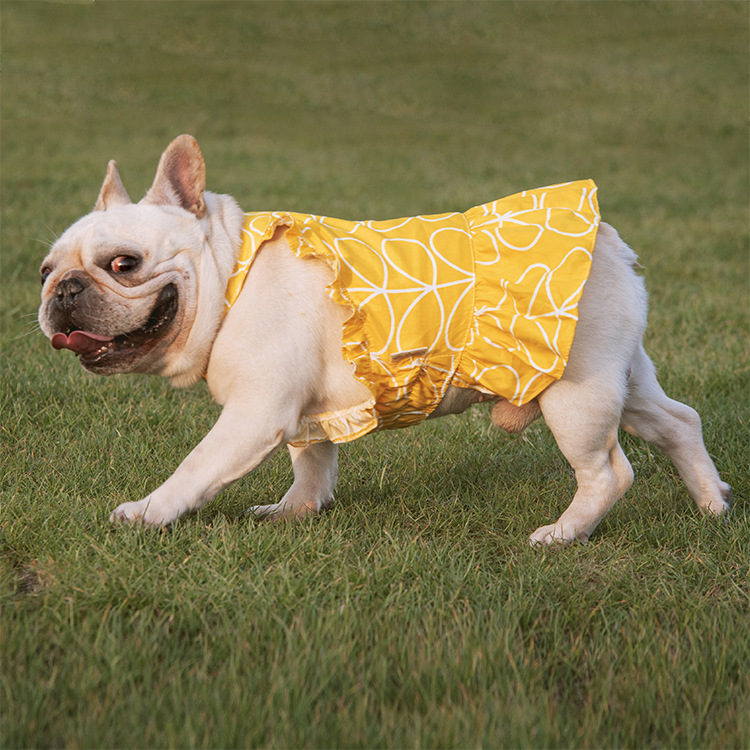 Pet Dress Image 5