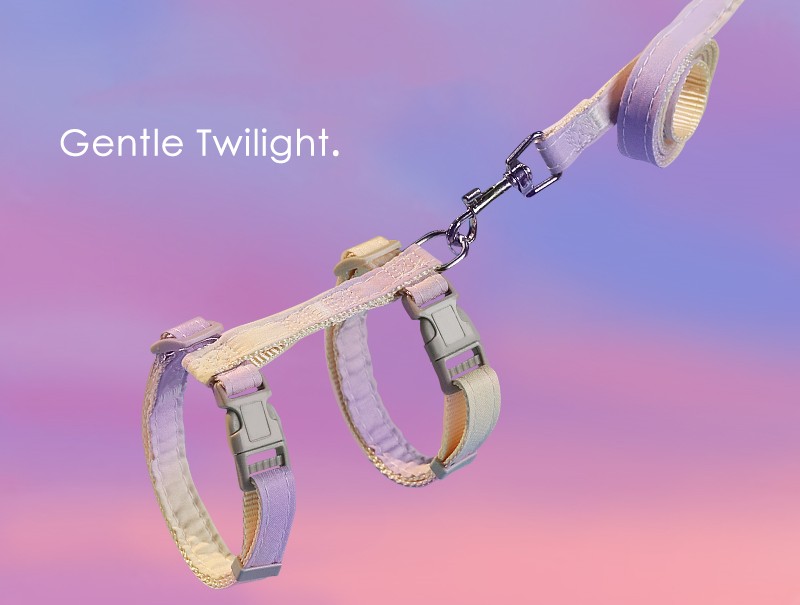 Light Blue Cat Leash