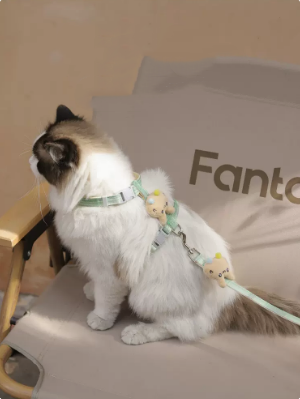 Gradient Purple Cat Leash