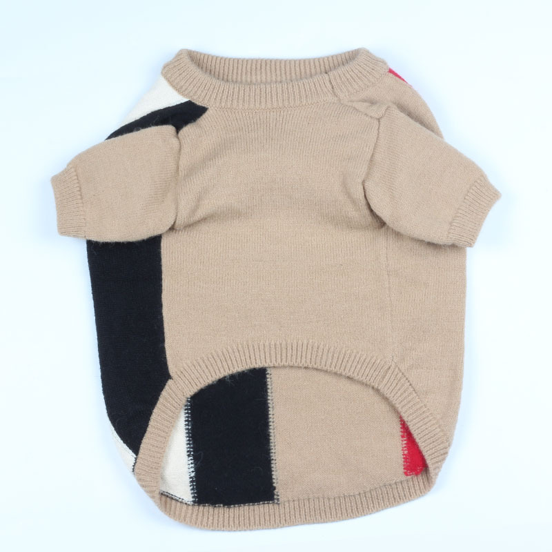 Dog in Khaki Sweater