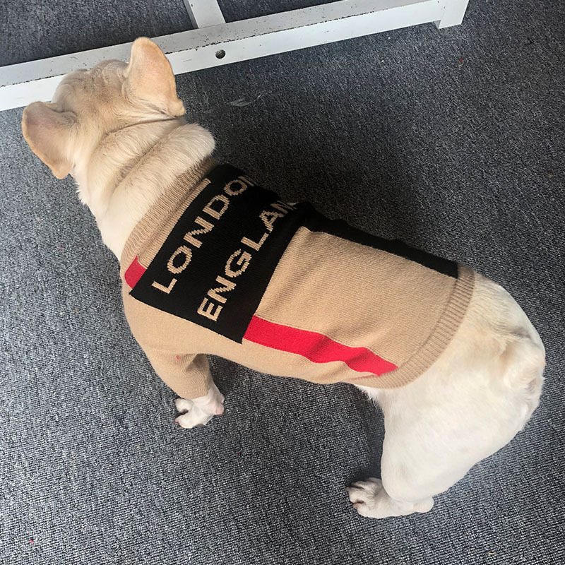 Stylish Dog Outfit