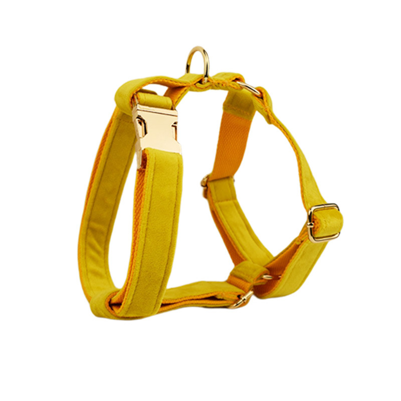 Stylish Pet Collar
