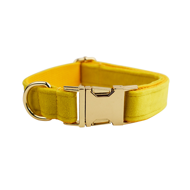 Pet Accessories