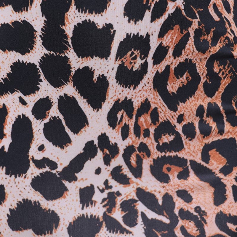 Leopard Print Dress 3