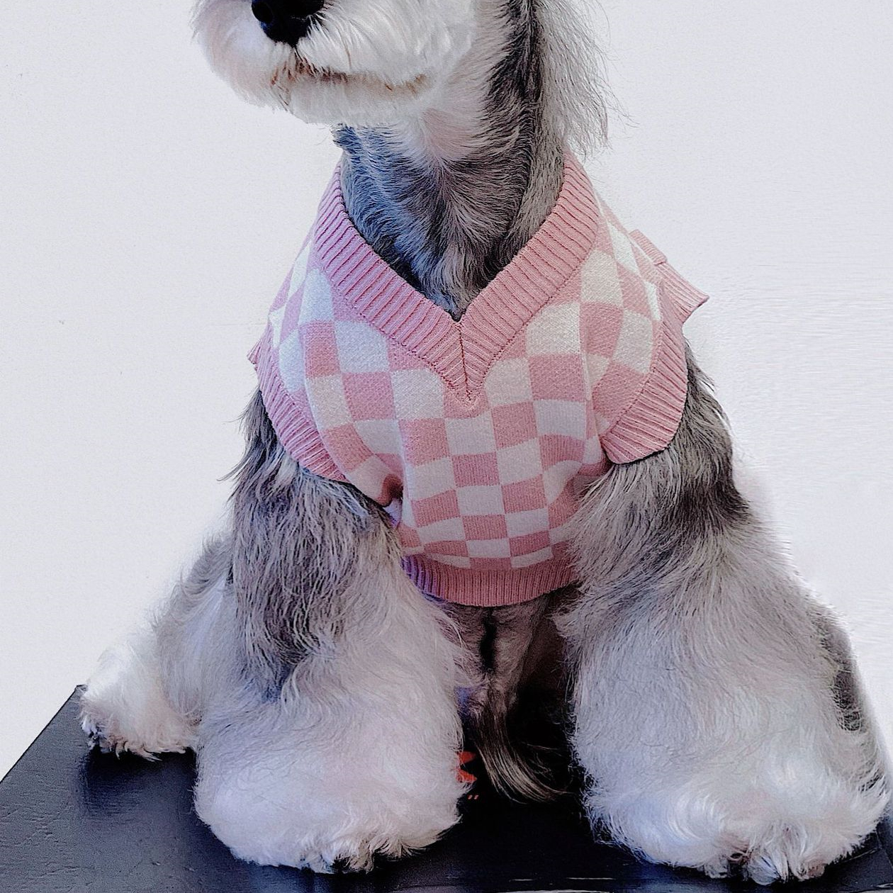 Pet Vest Sweater Image 3