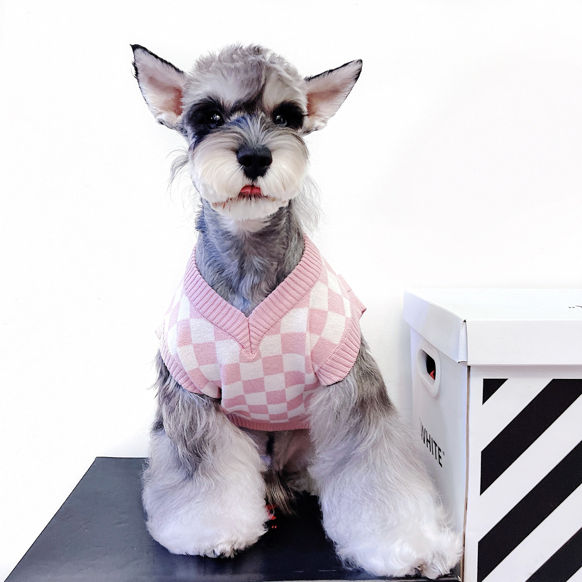 Pet Vest Sweater Image 5
