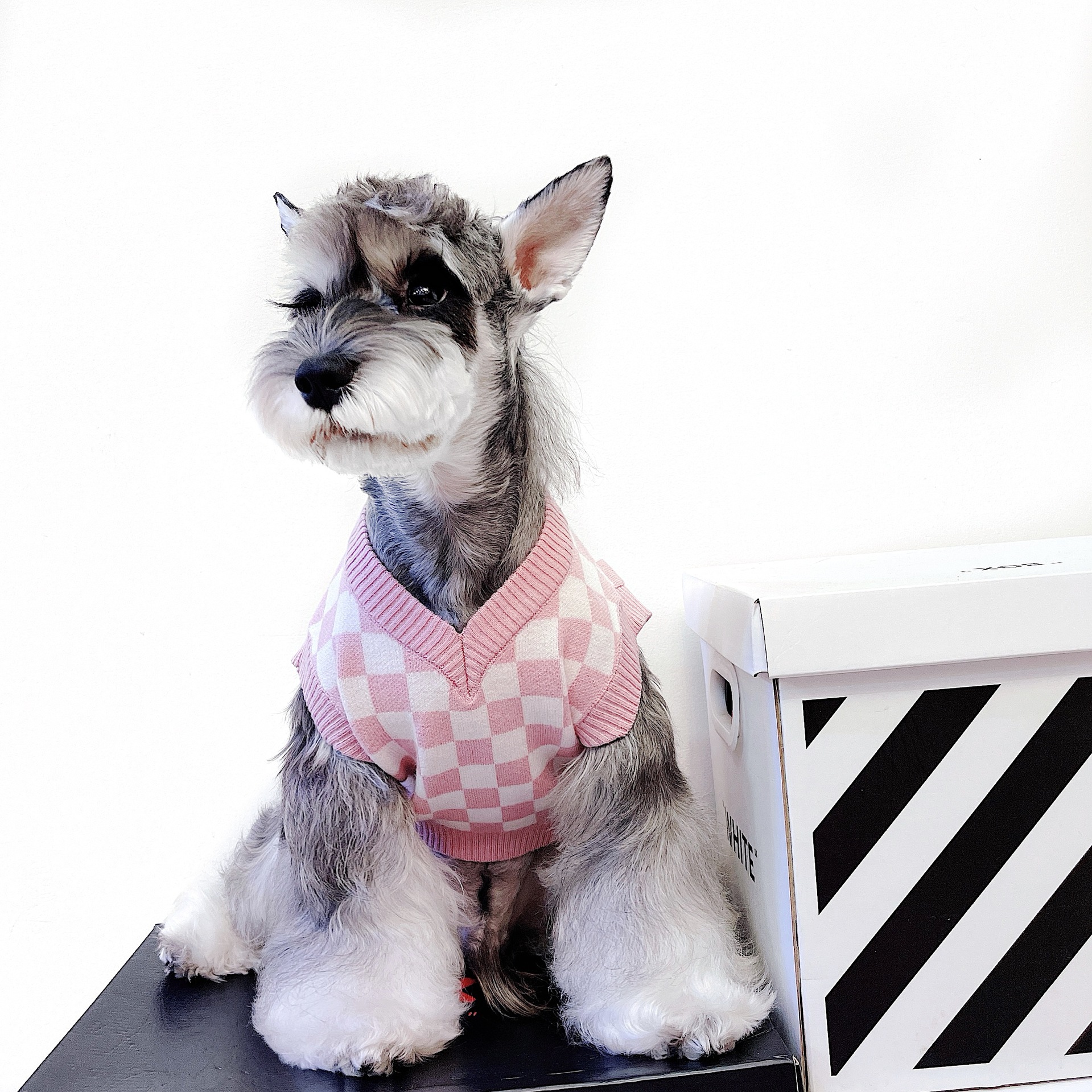 Pet Vest Sweater Image 2
