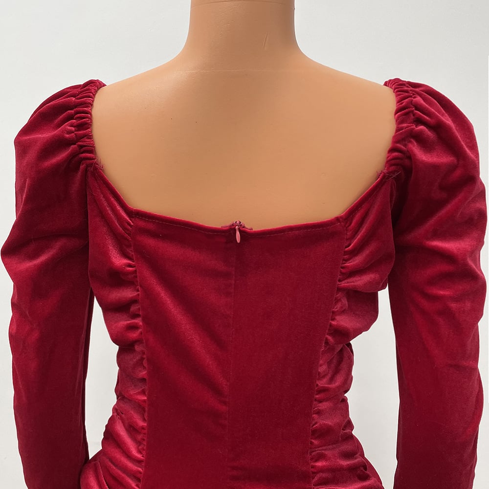 Pleuche Long Sleeve Evening Gown Image 4