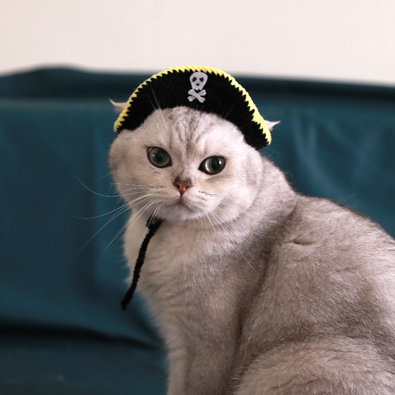Pirate Hat Image 2