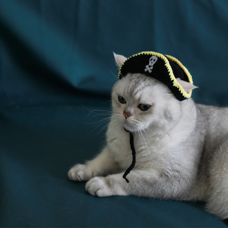 Pirate Hat Image 1