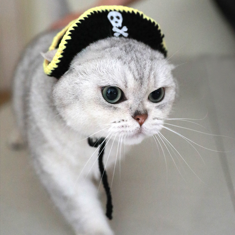 Pirate Hat Image 3