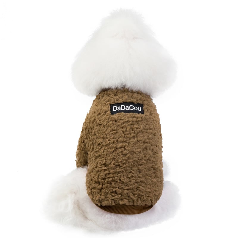 Stylish puppy outfit