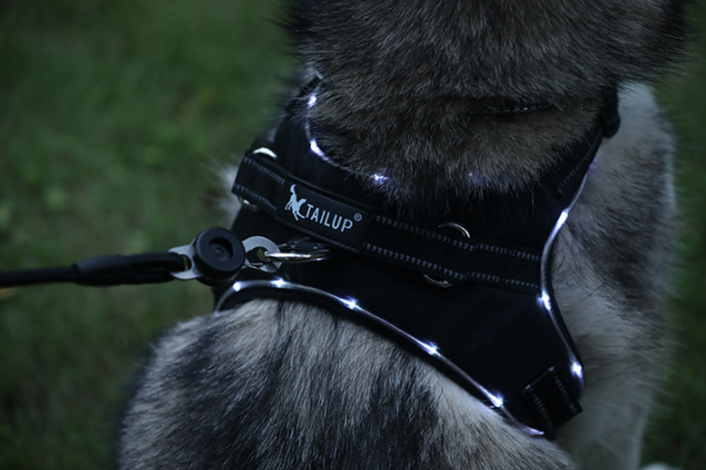 Durable oxford cloth dog harness
