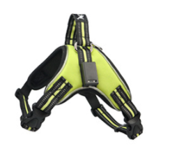 Comfortable dog harness in use