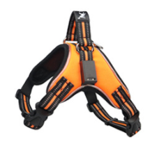 Stylish LED dog harness