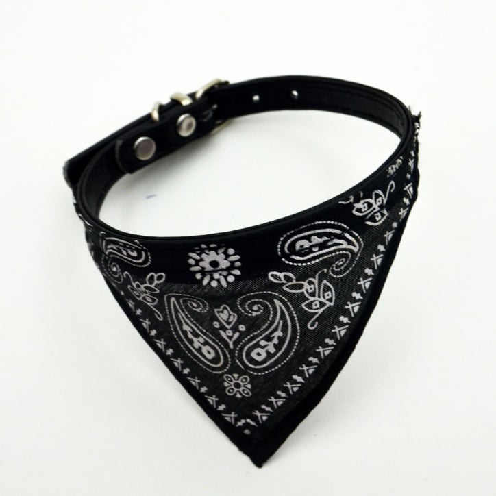 Pet Scarf Blue