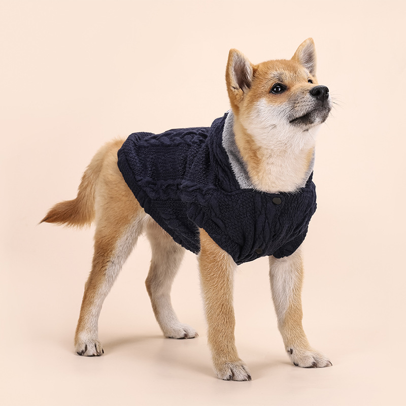 Pet Sweater Lifestyle Image