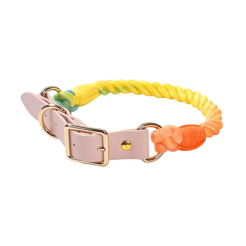 Trendy Pet Collar