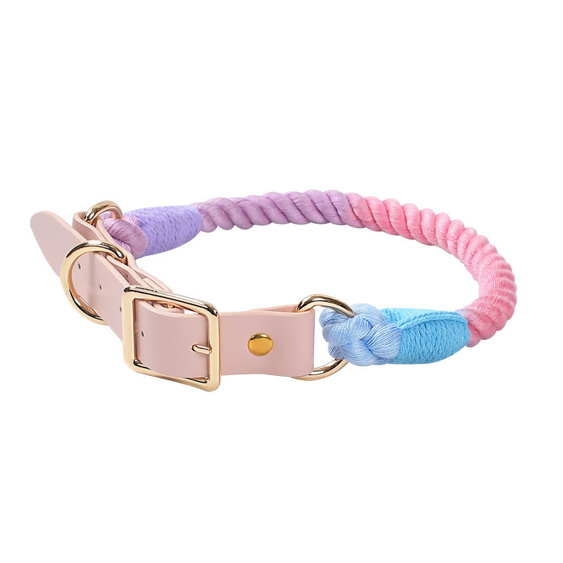Pet Collar Collection