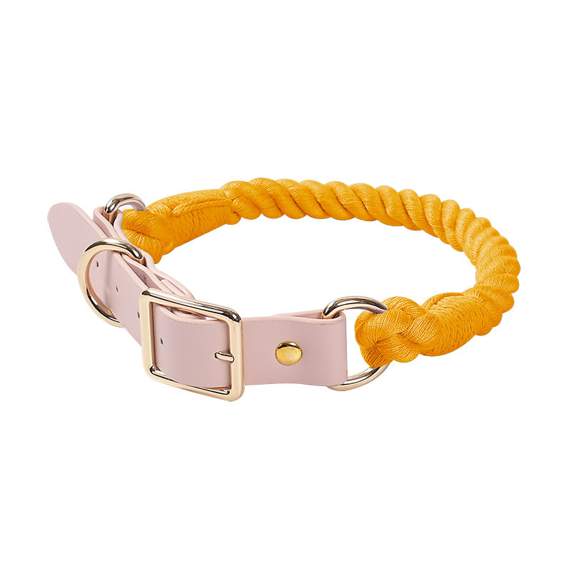 Stylish Pet Design