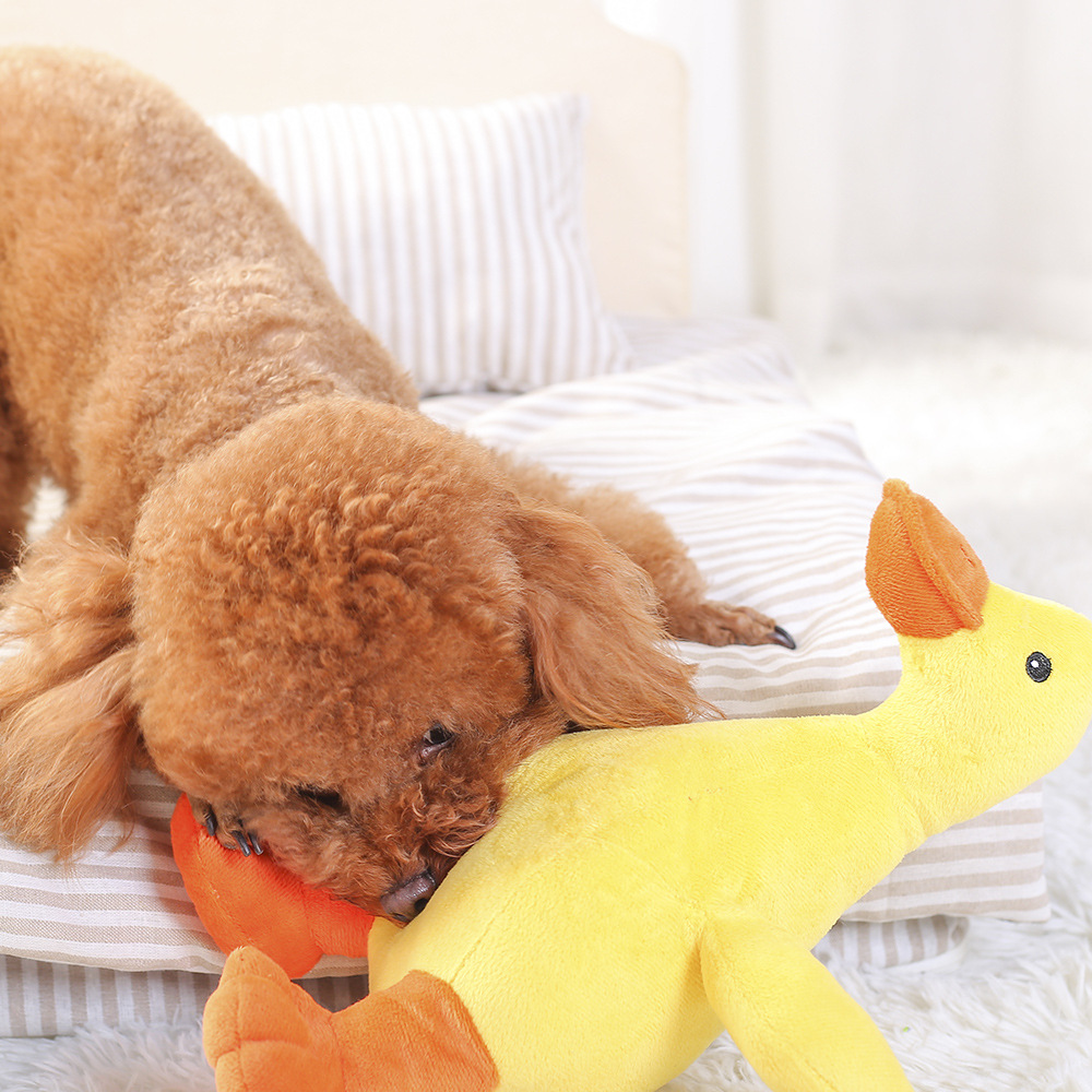 Dog Plush Toy in Use