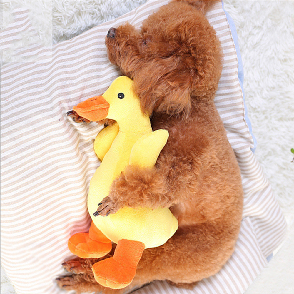 Happy Dog with Plush Toy