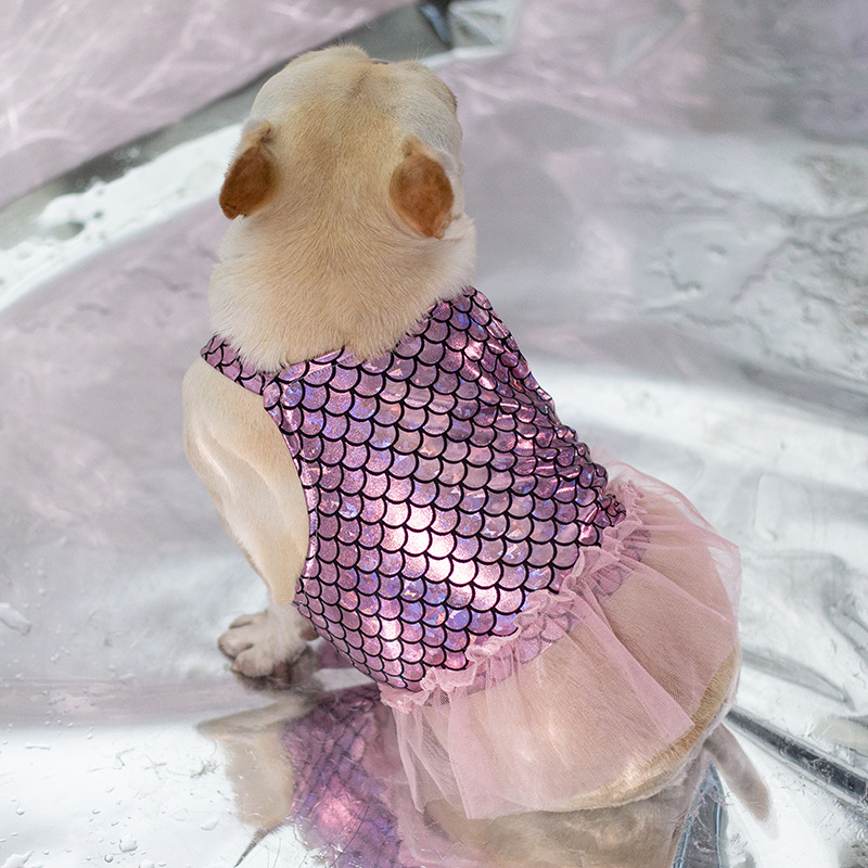 Stylish Dog Skirt in Lake Blue
