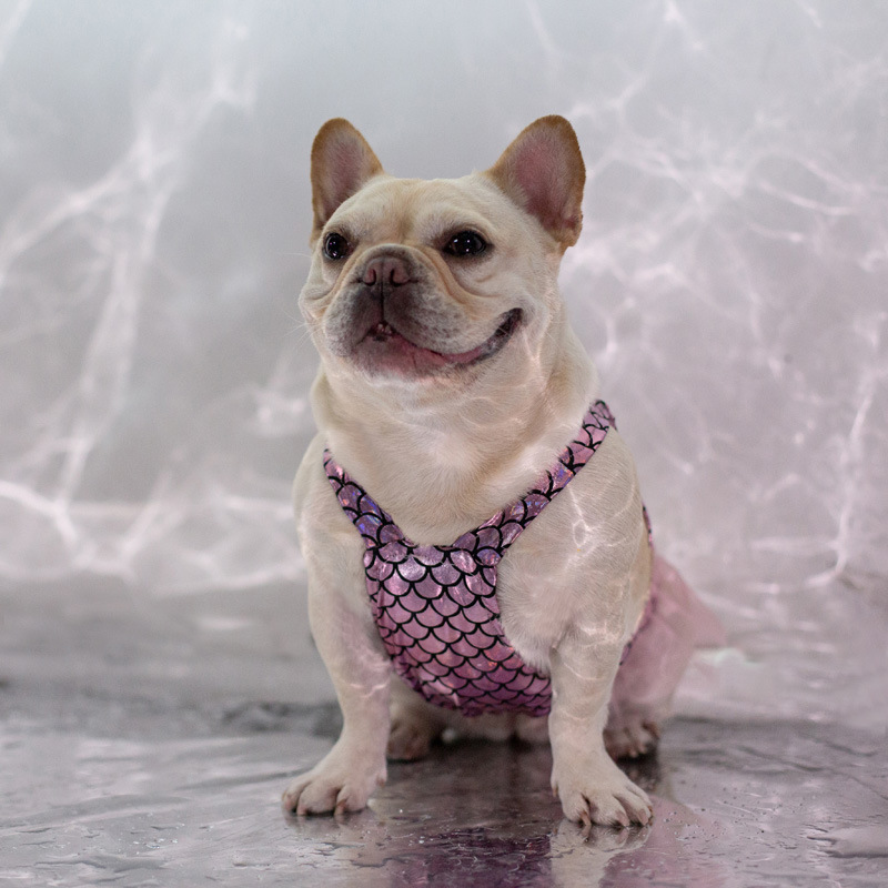 Cute Fish Scale Skirt for Dogs