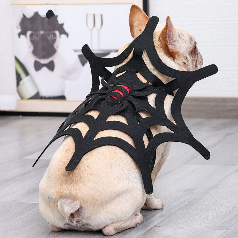 Halloween Pet Costume 3