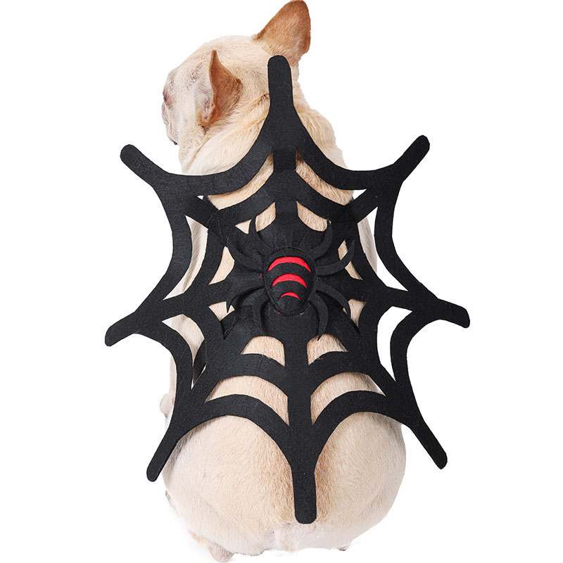 Halloween Pet Costume 2