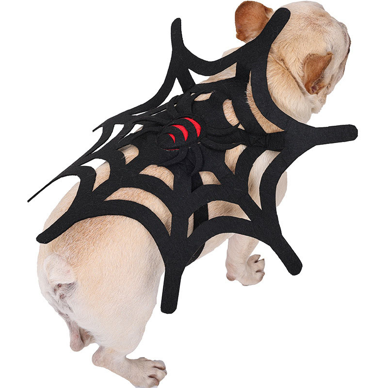 Halloween Pet Costume 5